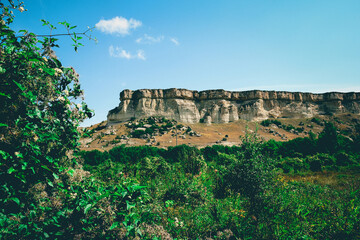 Summer landscape photo taken at the foot of a cliff