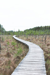 Fototapeta na wymiar A beautiful pathway in lithuanian swamp Dubrava reserve district.