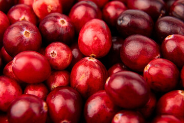 Cranberries, fresh red berries food background
