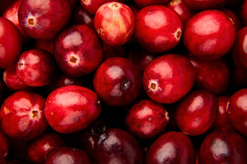 Cranberries, fresh red berries food background