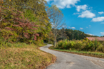 Fototapeta na wymiar Rural road in autumn