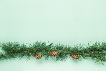 Spruce branch on green background. Christmas border. Flat lay