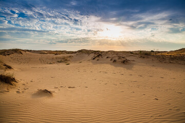 Beautiful desert landscape with dunes. Walk on a sunny day on the sands.