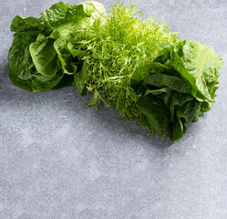 fresh frize salad between leaves of romano lettuce on gray background.Detox products, vegan concept