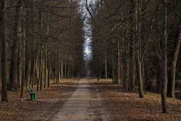 Alley of the spring park in the Moscow region.