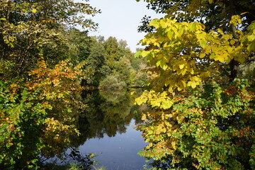 water surface in which autumn trees are reflected
