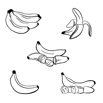 Banana vector illustration set on white background. Isolated hand drawn bunch, peel banana and sliced pieces. Can use for label, poster, print, packing design.