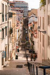 Travel photo from Lisboa in 2020