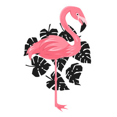 Summer illustration, flamingo and leafs of monstera, vector eps 10 illustration, decorate for your design
