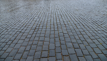Old cobblestone pavement close-up.