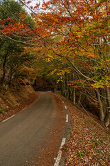 View of mountain road. Asphalt roads, during autumn season.