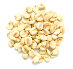 Giant corn  on white