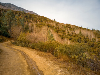 Paisaje de naturaleza en sierra de Coahuila, México