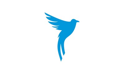 bird logo icon