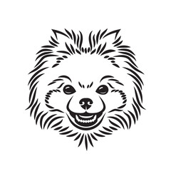 Pomeranian dog face - isolated vector illustration
