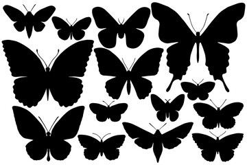 Butterflies silhouettes. Basis graphics on white background