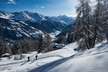 Fototapeta na wymiar People ski touring in the swiss mountain alps