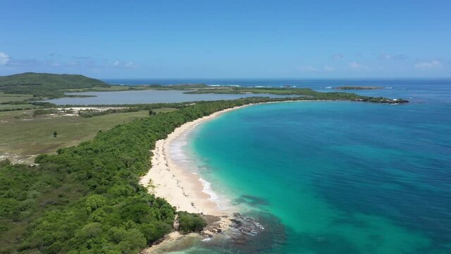 Grande Anse des Salines Martinique large aerial view sunny day coastal forest caribbean island 