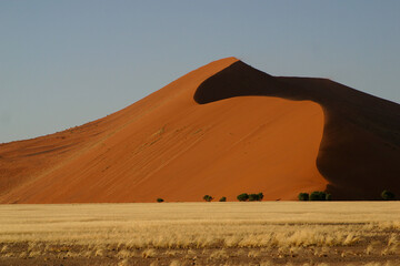 Sand dunes rising from grasslands in Africa