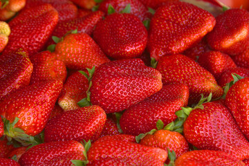 lots of strawberries and red ripe berries