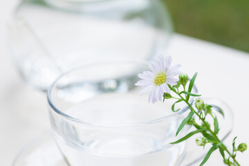 ナチュラルイメージ