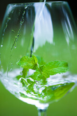 グラスに入ったペパーミント