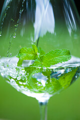 グラスに入ったペパーミント