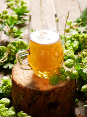 Light beer in a small mug on a wooden trunk in an arrangement with fresh hops.