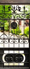 beautiful decorative forged elements of a metal fence