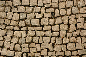 Paving stones covering (bitmap texture)
