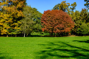 Naklejka premium Paesaggio autunnale