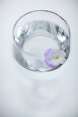 ナチュラルイメージ