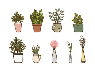 Set of hand drawn potted plants,  succulents and house plants garden collection, Isolated on white background. Vector illustration, Cartoon doodle style.