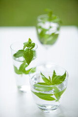 グラスに入ったレモンバーベナ