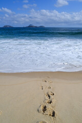 copacabana brazil brasil playas