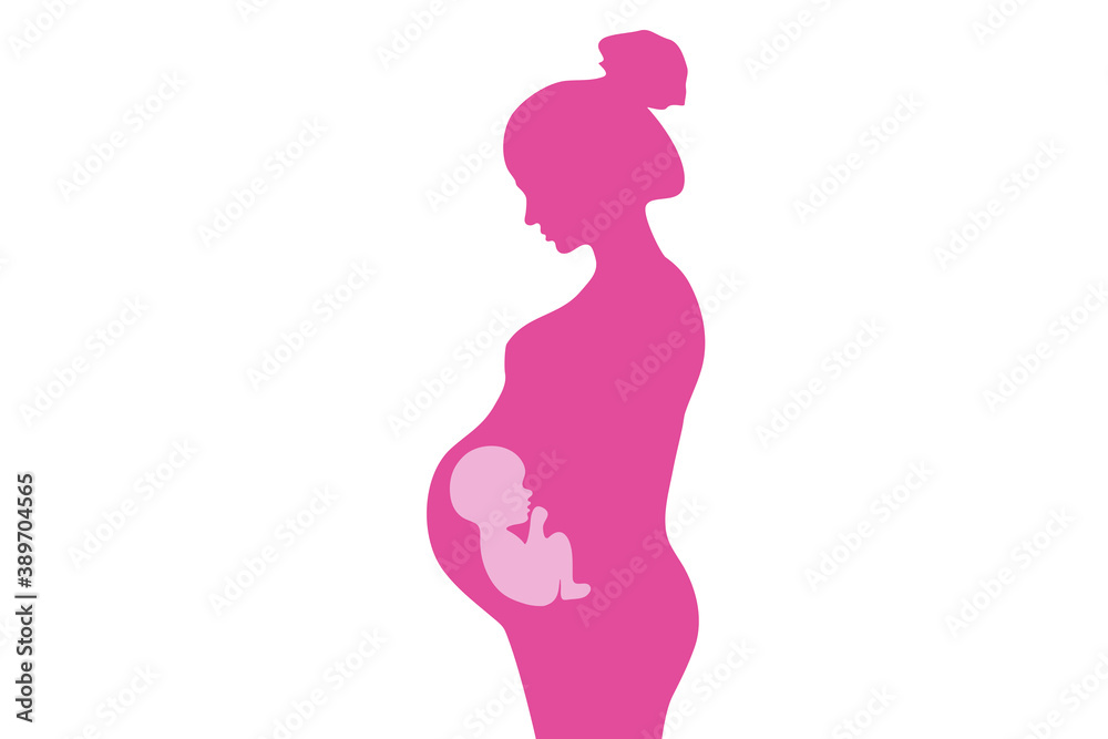 Wall mural Silhouette of a beautiful pregnant woman with the unborn fetus in the womb. Pregnancy concept line art.