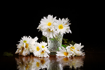 Fototapeta na wymiar White chrysanthemum flowers composition on a table. Freeze light