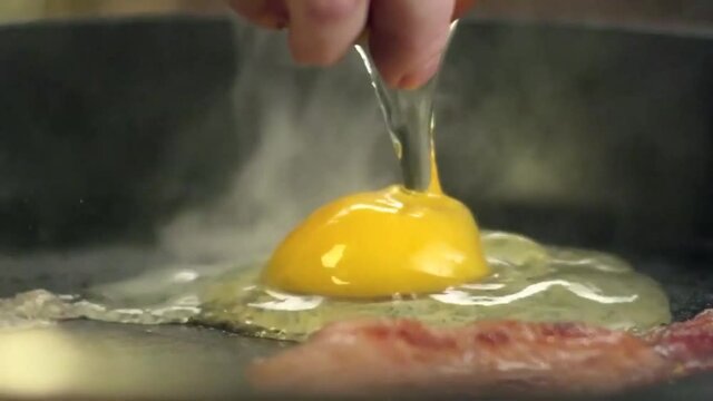 Beautiful shots of cooking products, burger, bread and butter, boiled pork, cake, eggs