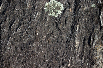 Granite rock pattern