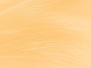 Beautiful abstract orange feathers on yellow background, soft brown feather texture on white pattern background, yellow feather background, love theme, valentines day