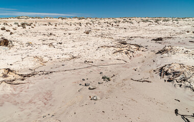 Volunteer Beach, Falkland Islands, UK - December 15, 2008: Detail stretch of the beige-white sandy beach with pebbles looking inland  under blue sky.