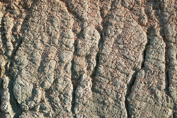 掘削で露出した青っぽい地肌