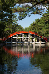 Fototapeta premium 住吉大社の神池と反橋