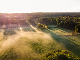 Drone shot of a field surrounded by the forest in beautiful morning fog right after sunrise