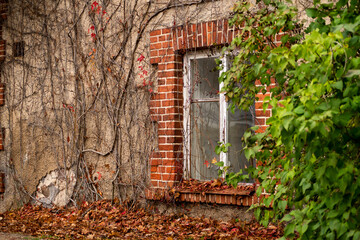 Old house exterior with garden ground level, red brick framed window in autumn. - Powered by Adobe