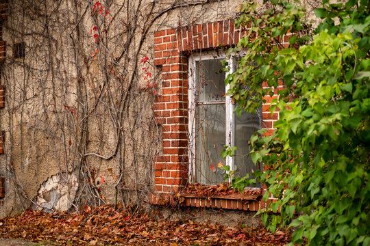 Old house exterior with garden ground level, red brick framed window in autumn.