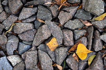 Pebble pile texture close up photo, rocks pattern.