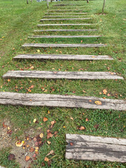 nature path stairs