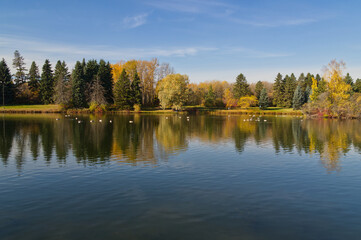 Fototapeta na wymiar Autumn Season at a Pond