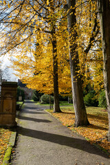 Naklejka premium Herbst auf einem Friedhof